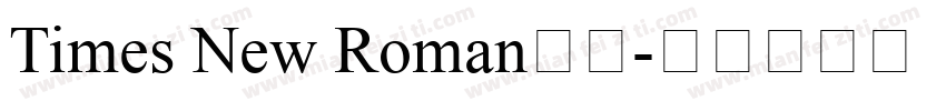 Times New Roman单线字体转换